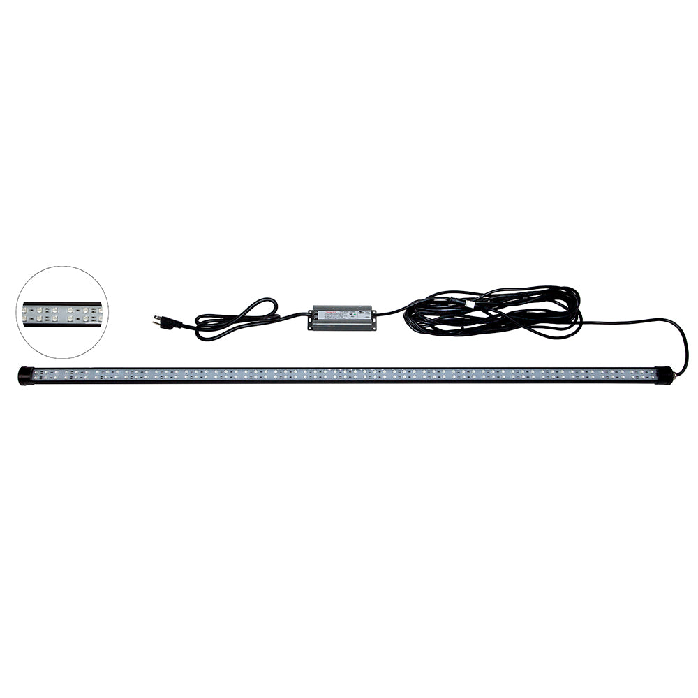 Hydro Glow DM260G 40W120VAC Dock Mounted Fishing Light  Green DM260G