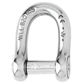 Wichard SelfLocking Allen Head Pin D Shackle  6mm Diameter  14 01303